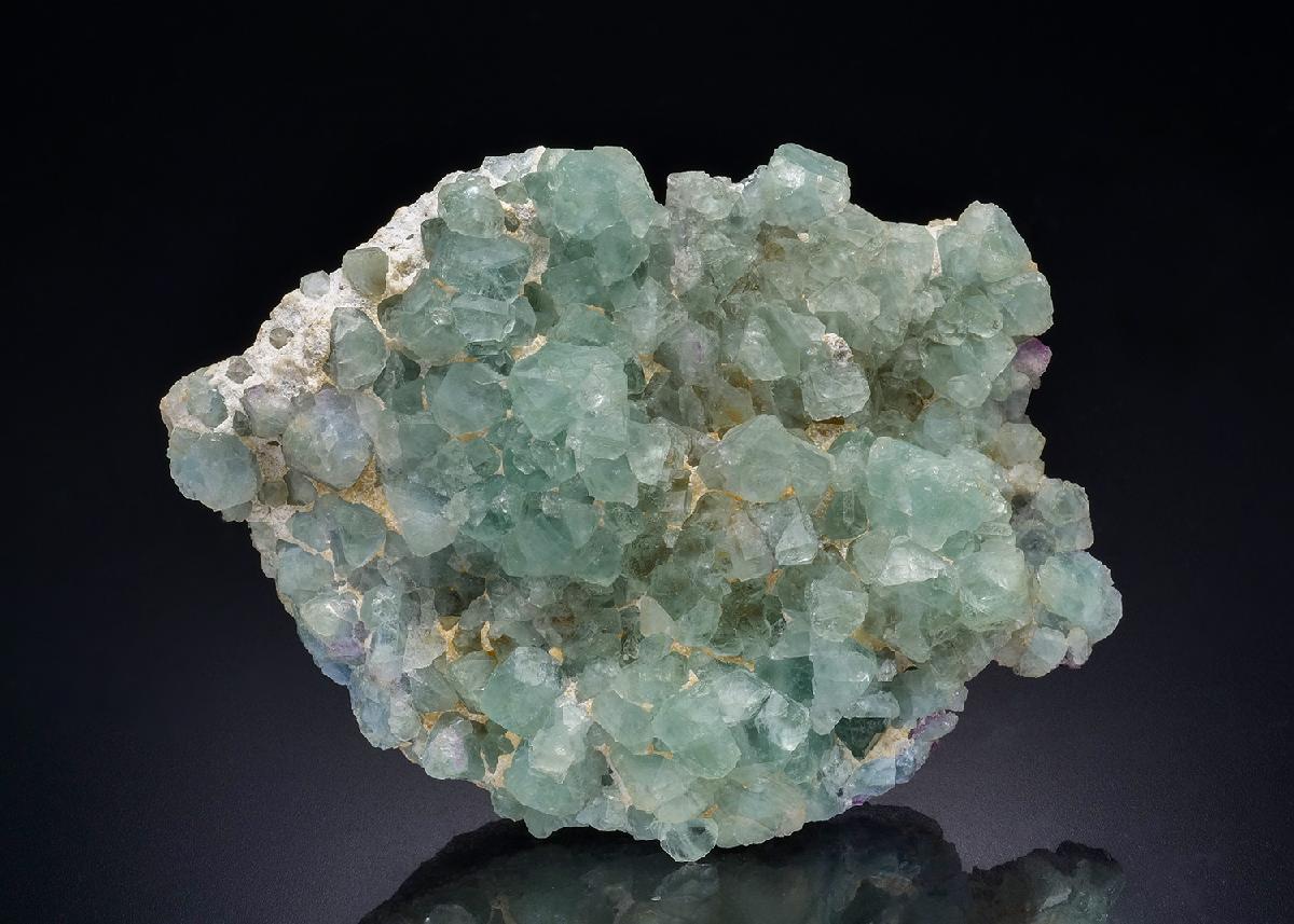 CC44454 specimen image