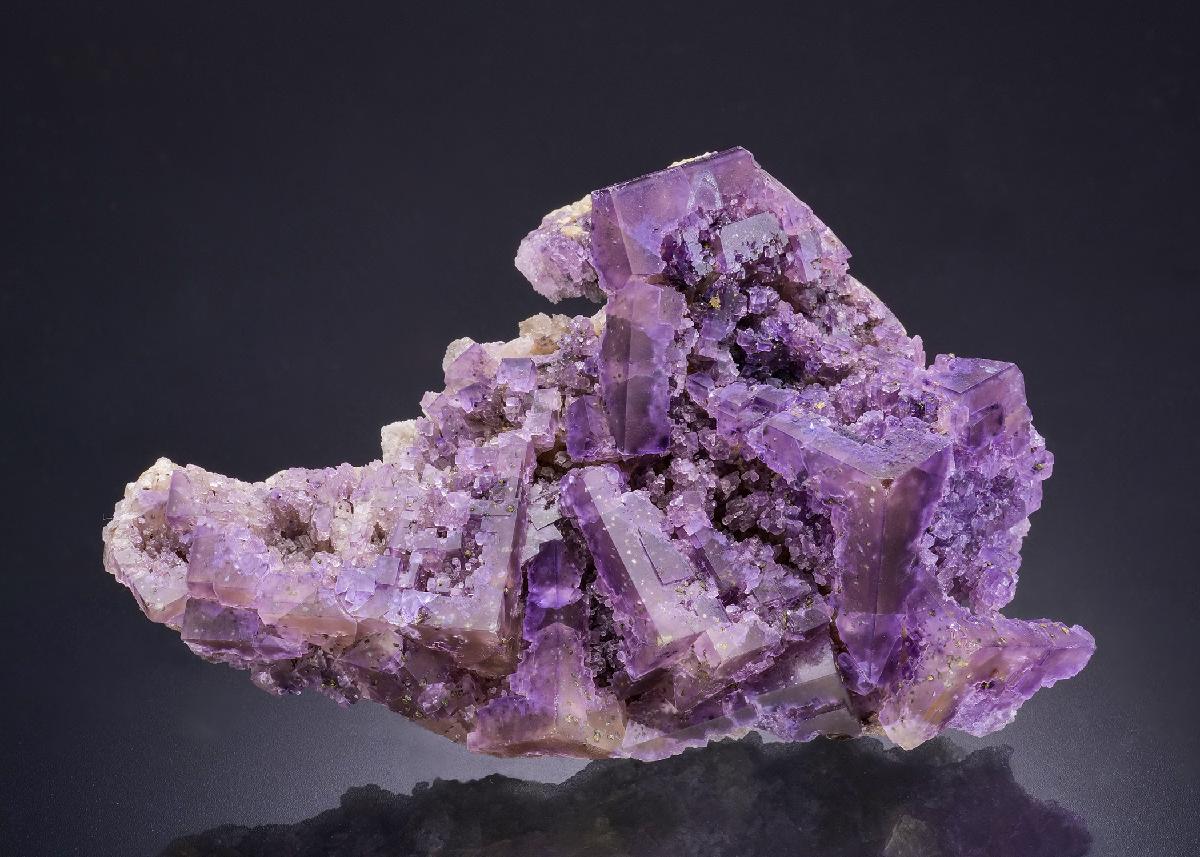 CC44456 specimen image