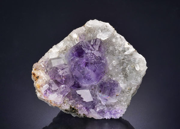 CC44468 specimen image