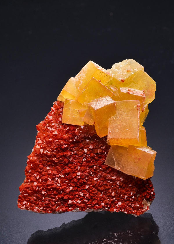 CC44470 specimen image