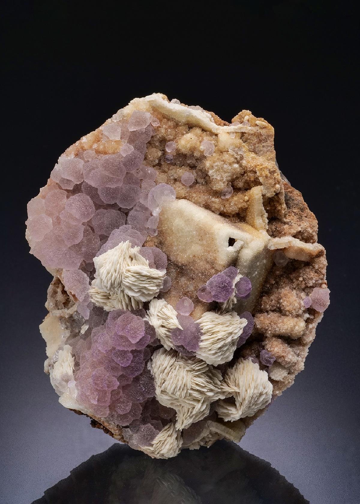 CC44486 specimen image