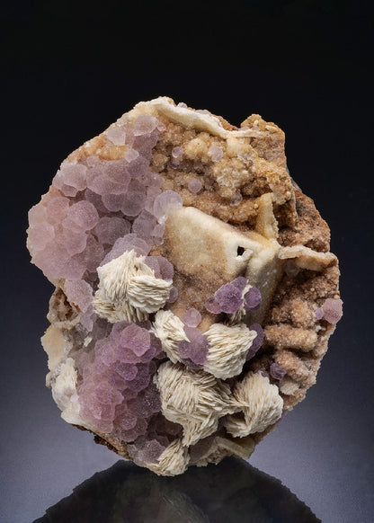 CC44486 specimen image