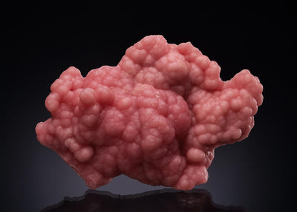 CC44496 specimen image