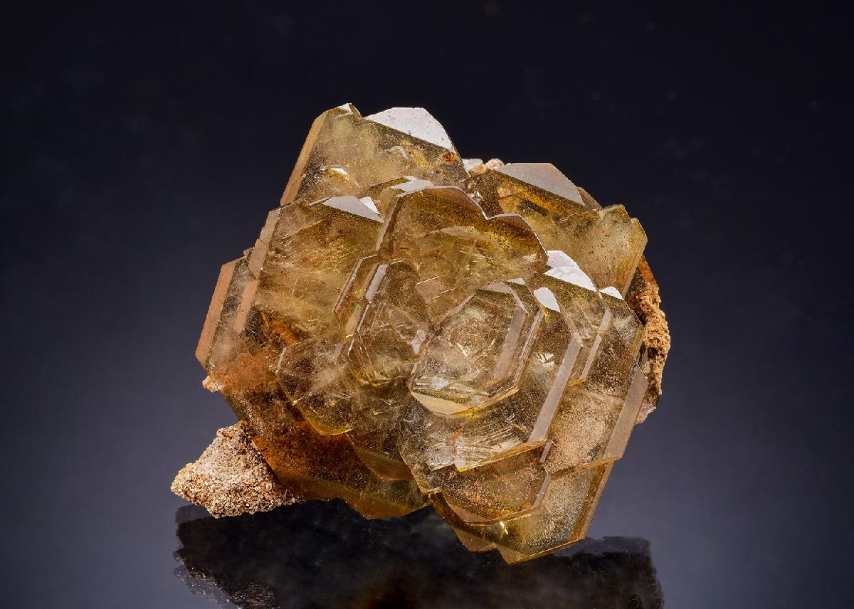 CC44500 specimen image