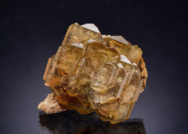CC44500 specimen image