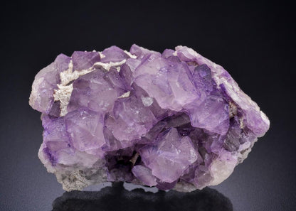 CC44532 specimen image