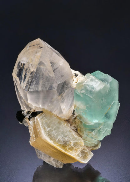 CC44604 specimen image