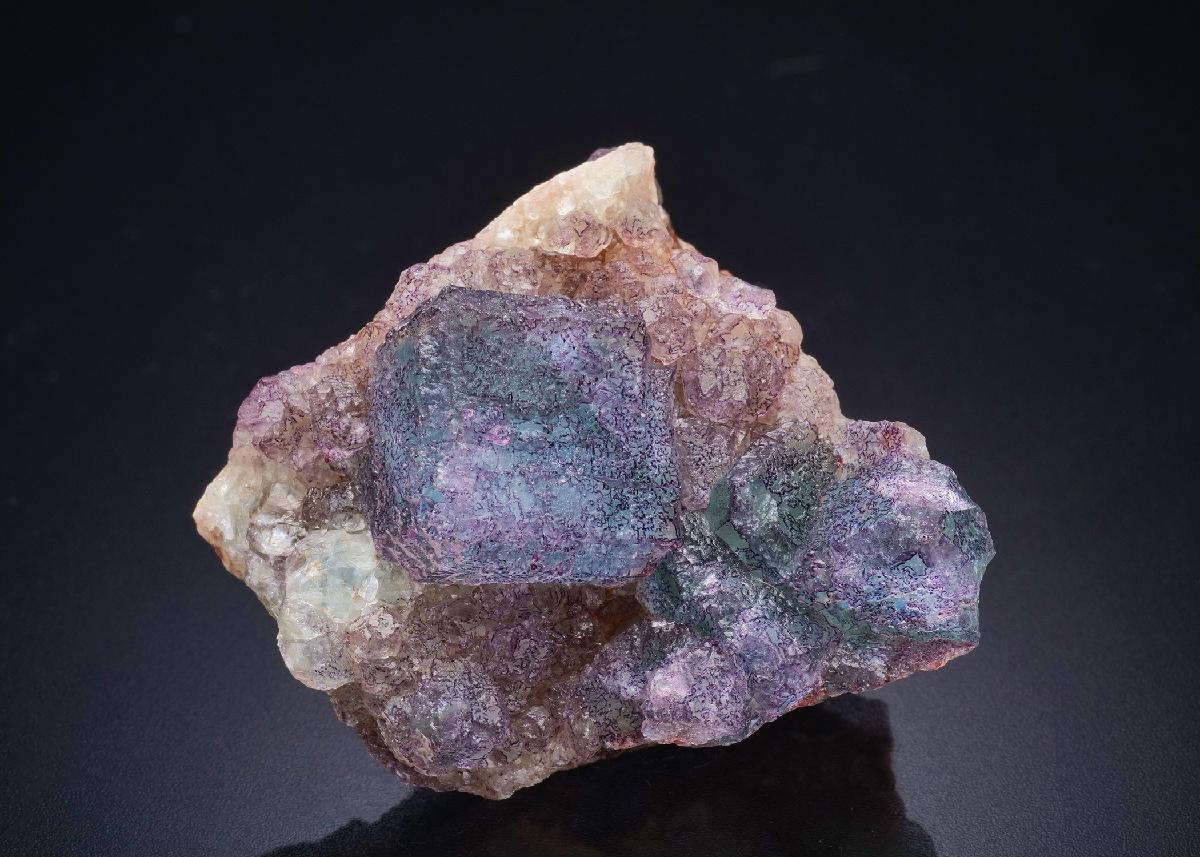 CC44654 specimen image