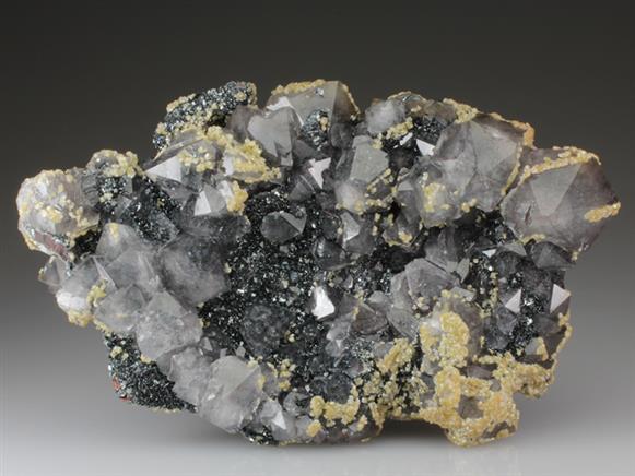 CC4466 specimen image