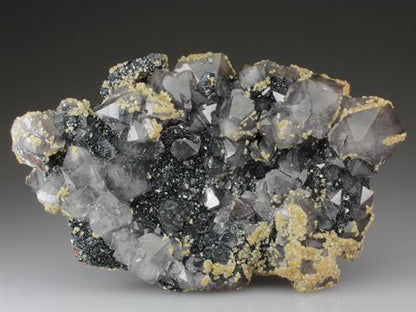 CC4466 specimen image