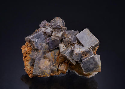 CC44662 specimen image