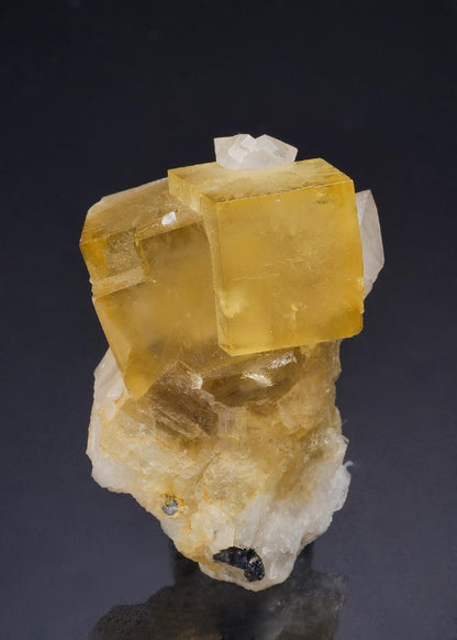 CC44668 specimen image