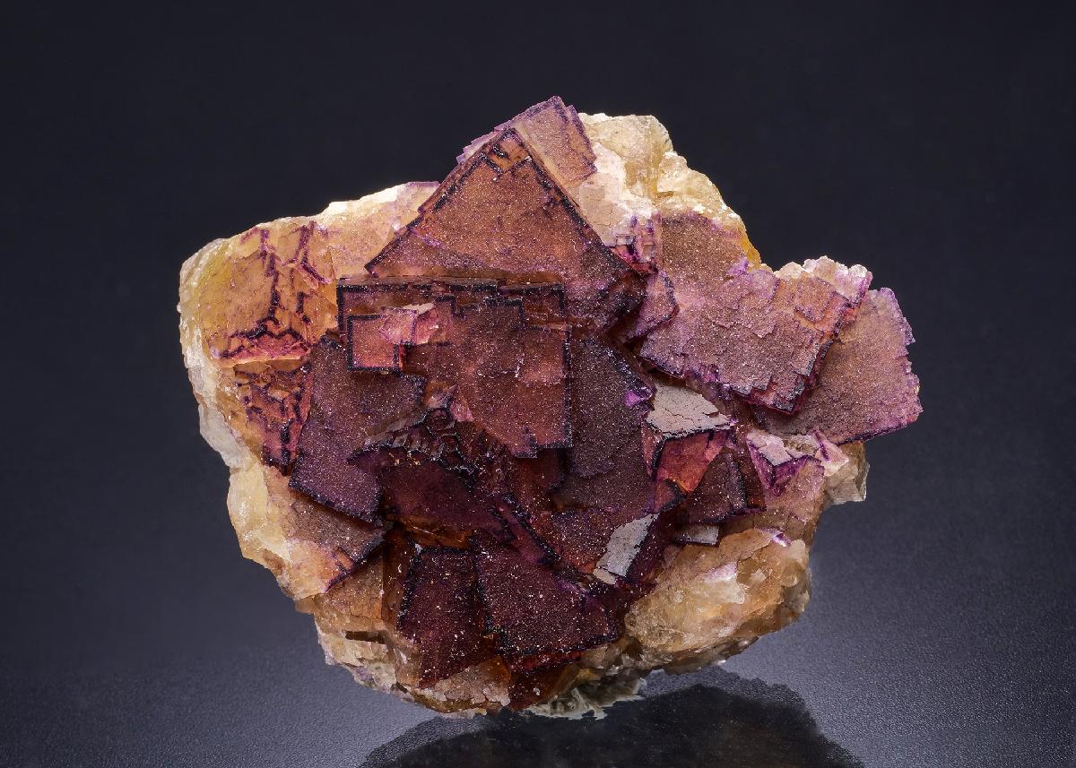CC44682 specimen image