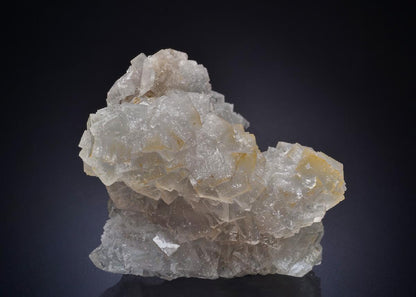CC44744 specimen image