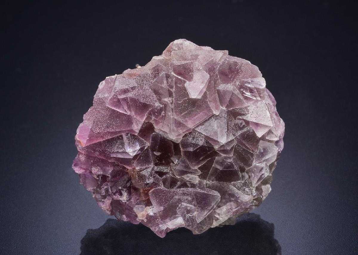 CC44754 specimen image