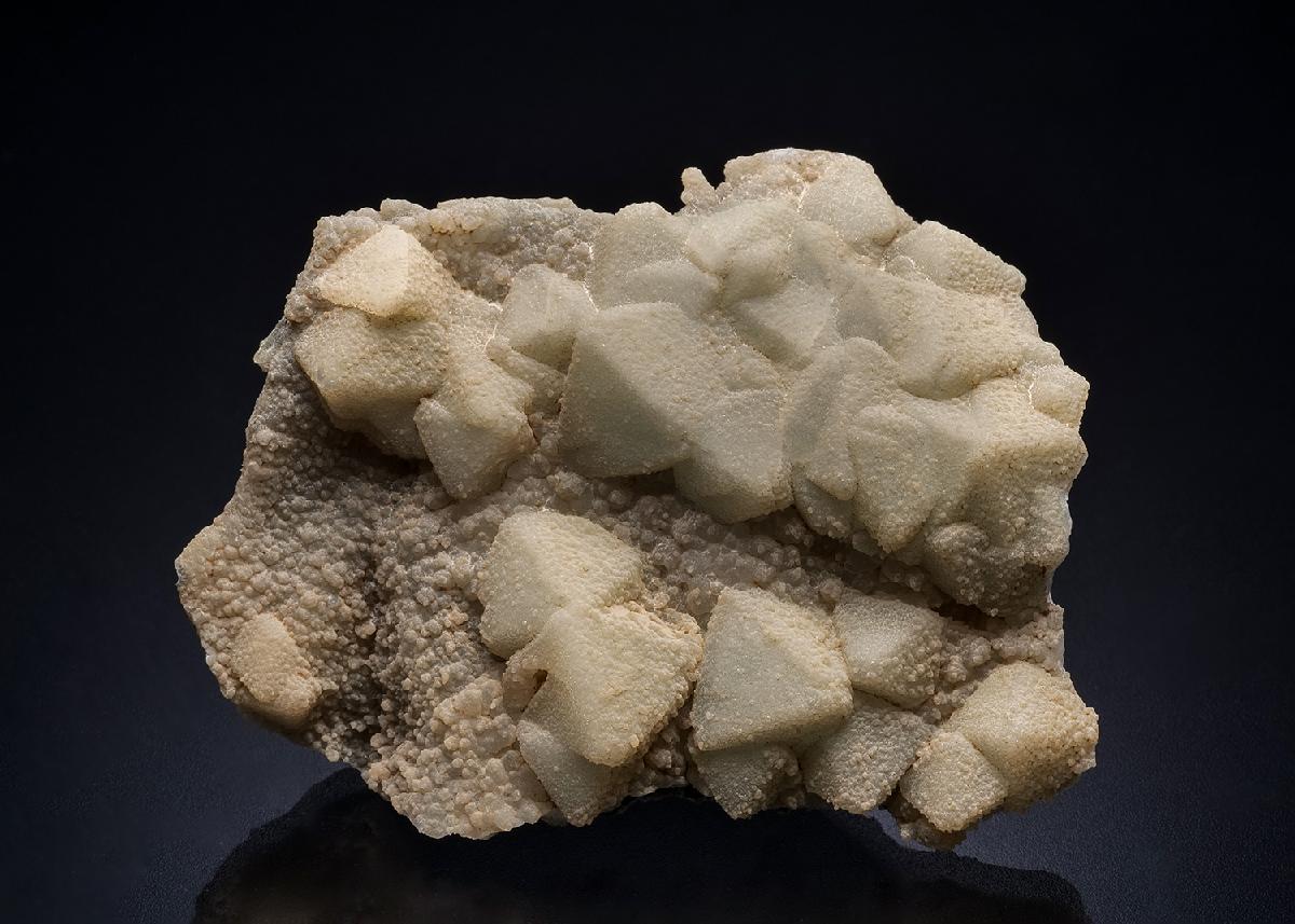CC44780 specimen image