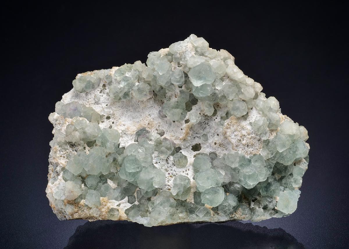 CC44800 specimen image