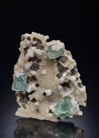 CC44804 specimen image