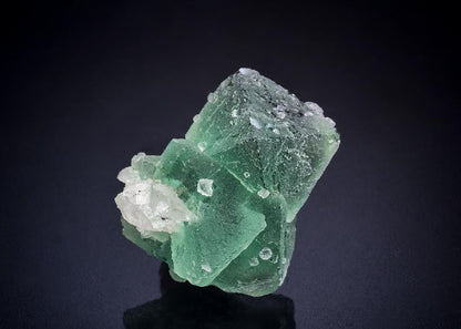 CC44808 specimen image