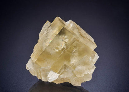 CC44814 specimen image