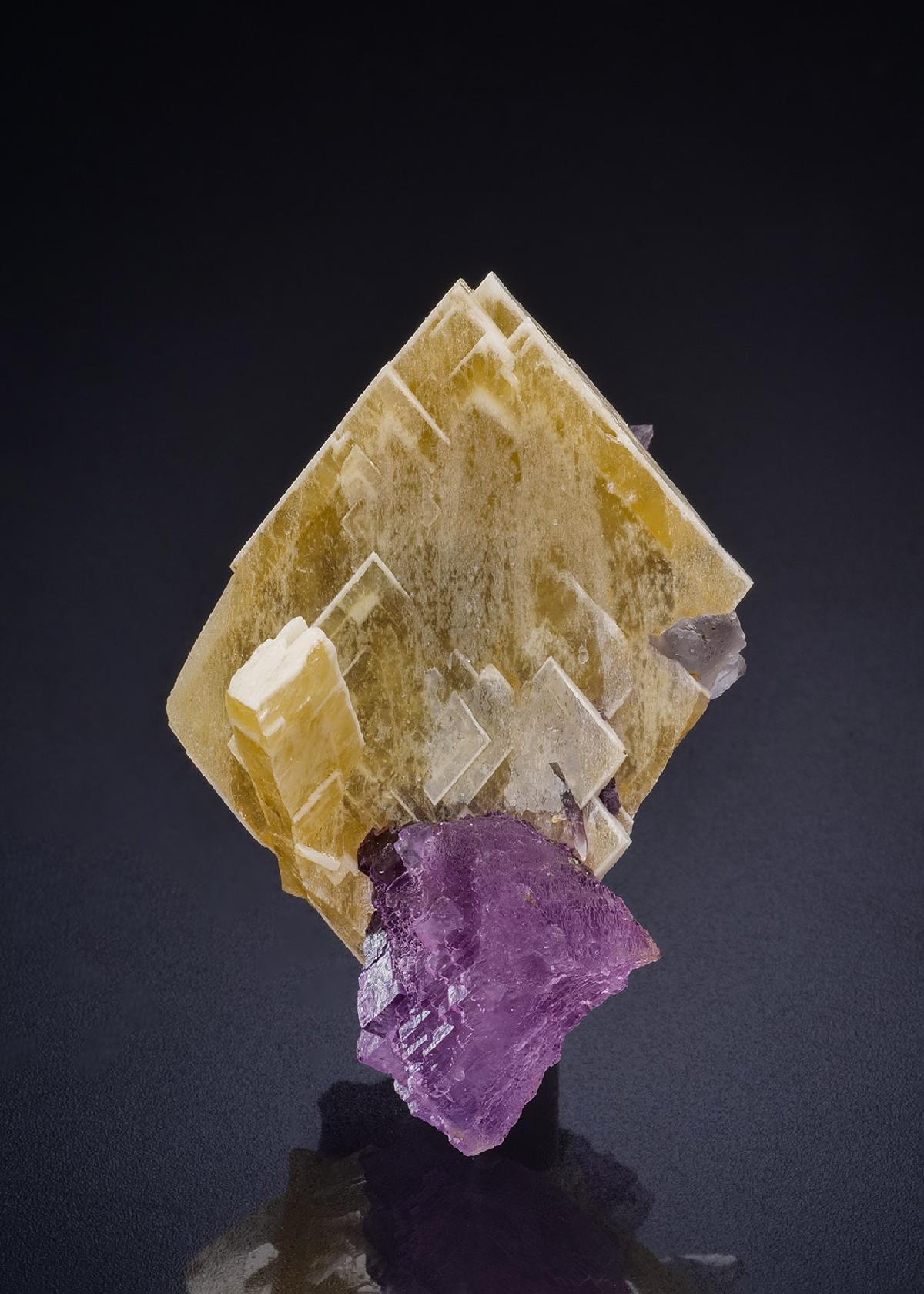 CC44820 specimen image