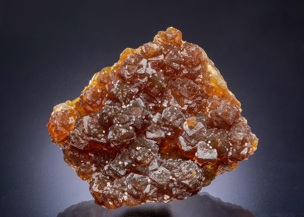 CC44862 specimen image