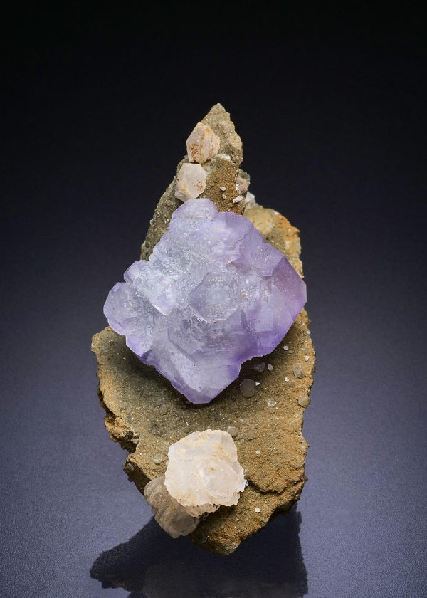 CC44870 specimen image