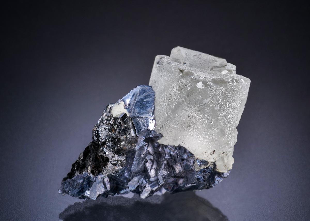 CC44906 specimen image