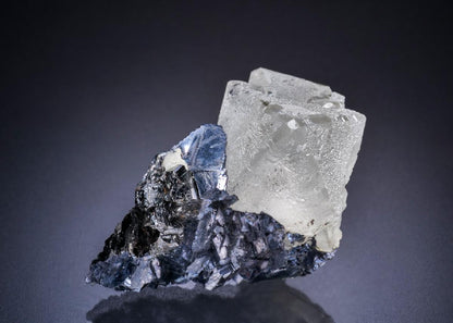 CC44906 specimen image