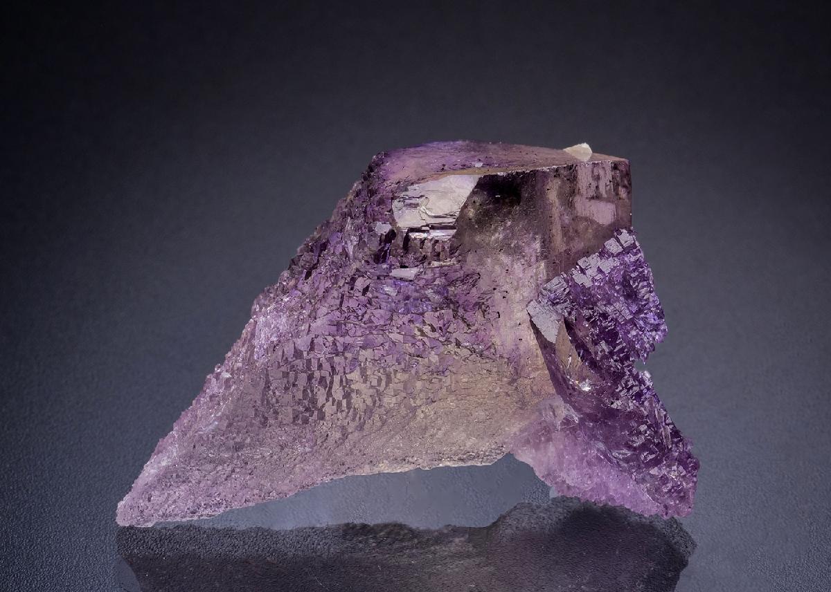 CC44912 specimen image