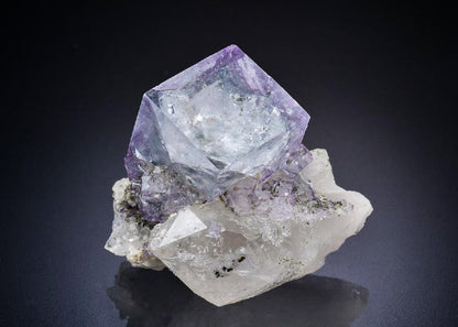 CC44914 specimen image