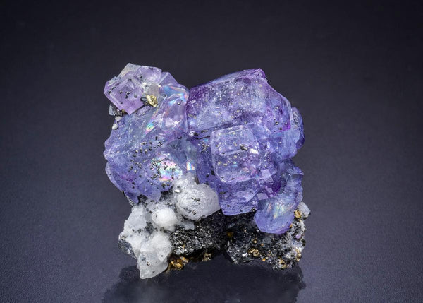 CC44920 specimen image