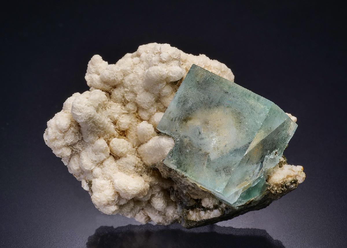 CC44944 specimen image