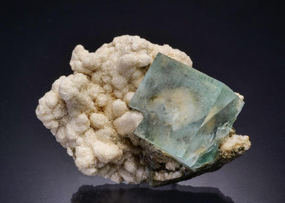CC44944 specimen image
