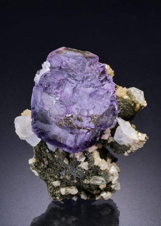 CC44968 specimen image