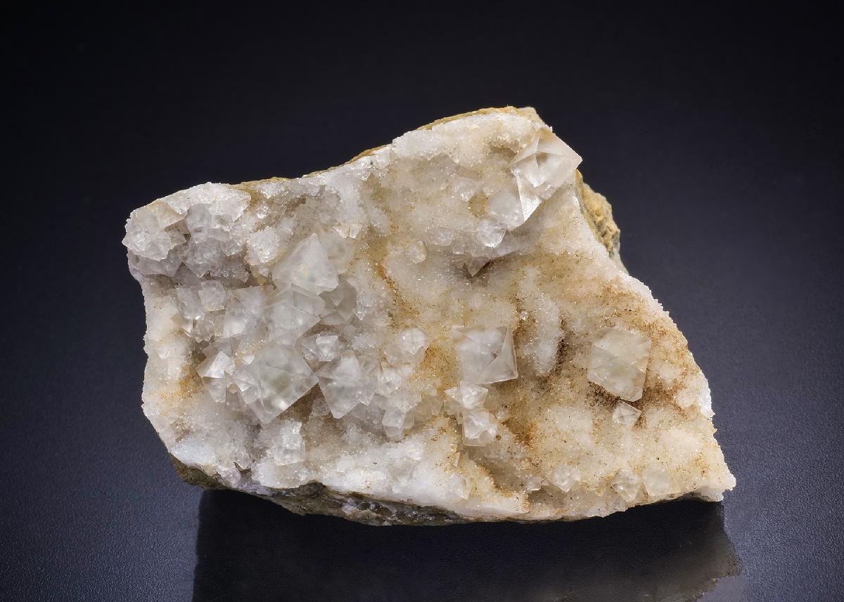 CC44992 specimen image