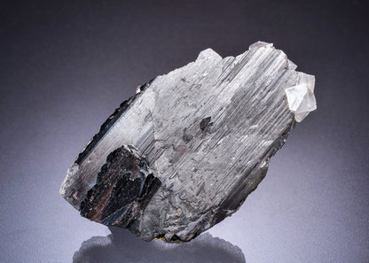 FERBERITE with SCHEELITE, ARSENOPYRITE, FLUORITE and MUSCOVITE