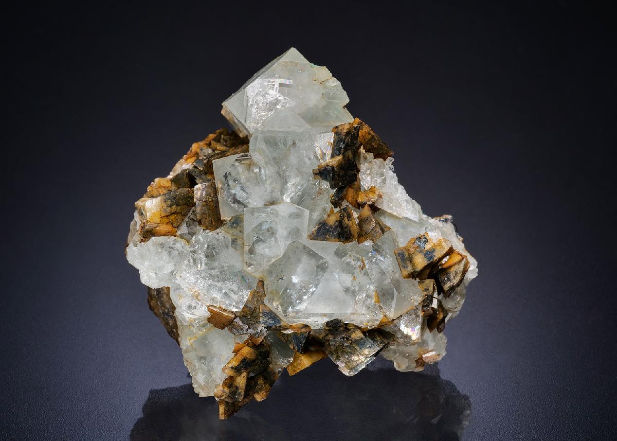 CC45032 specimen image