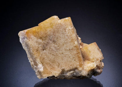CC45070 specimen image