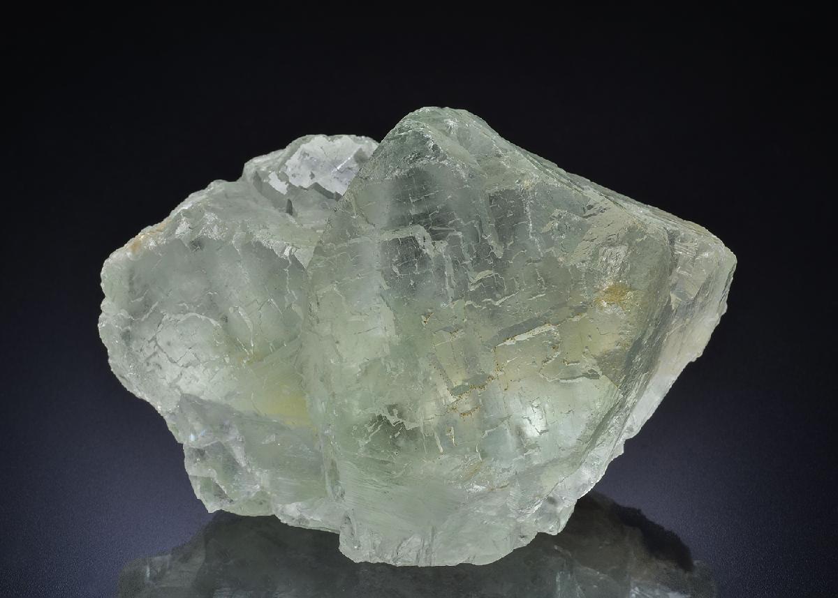 CC45080 specimen image