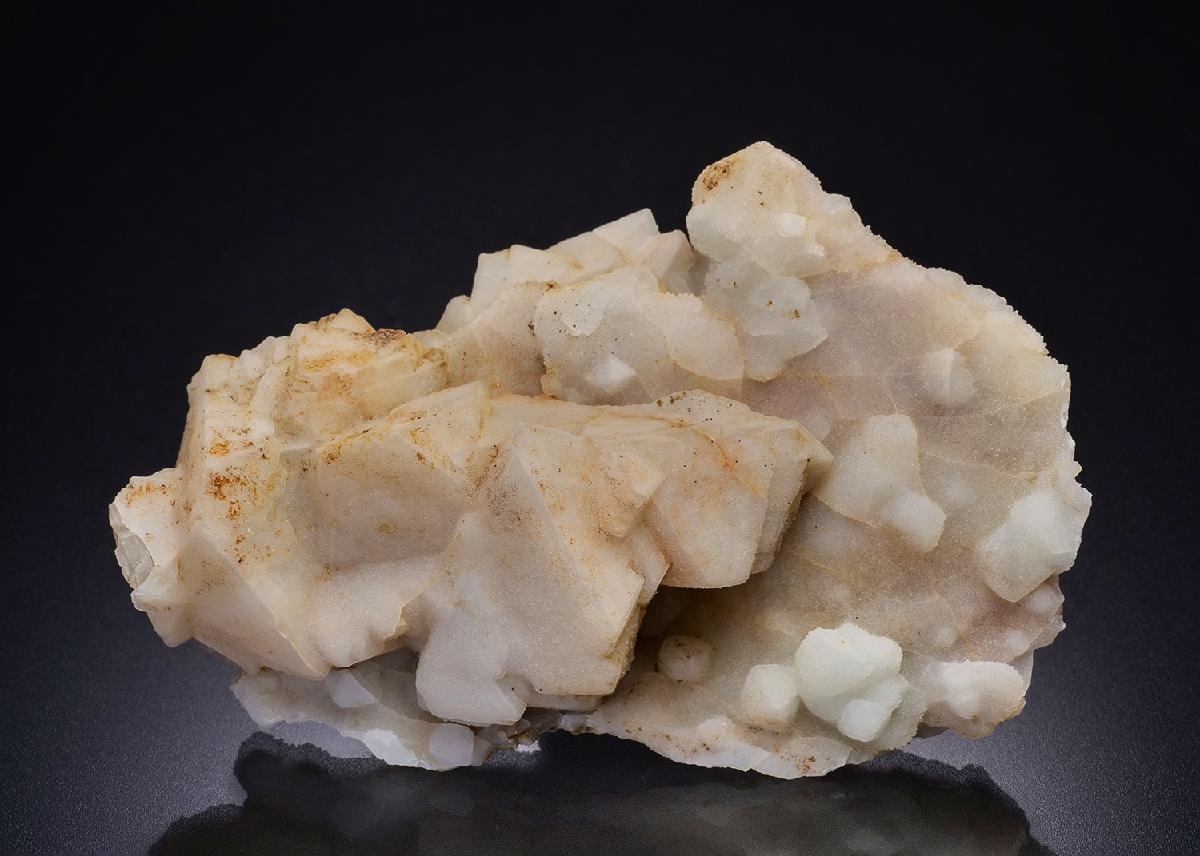 CC45082 specimen image
