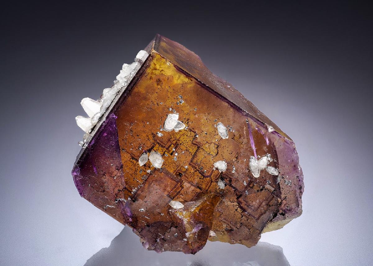 CC45092 specimen image
