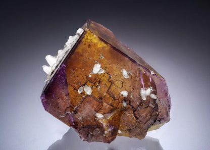 CC45092 specimen image
