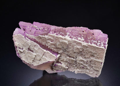 CC45094 specimen image