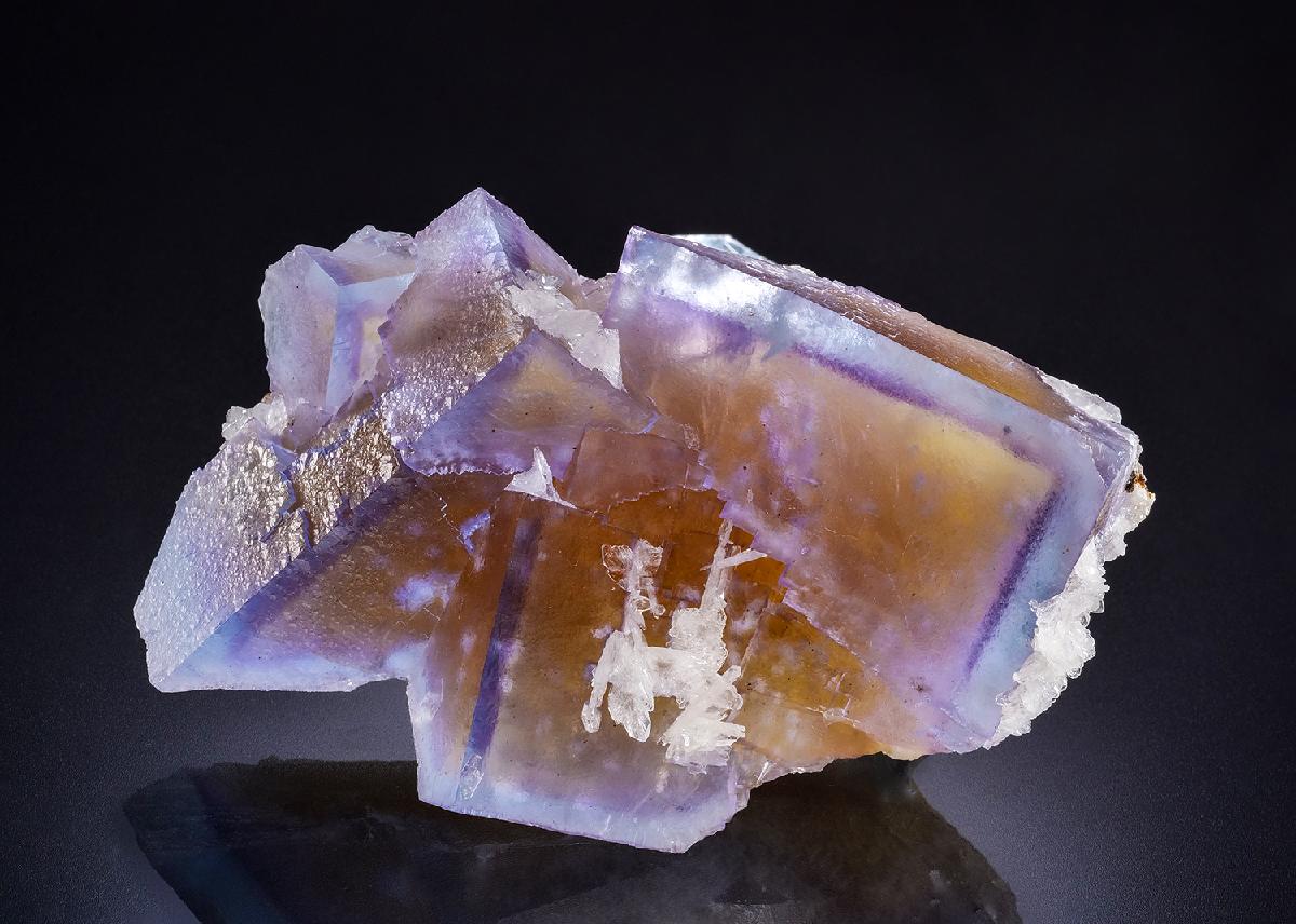 CC45098 specimen image