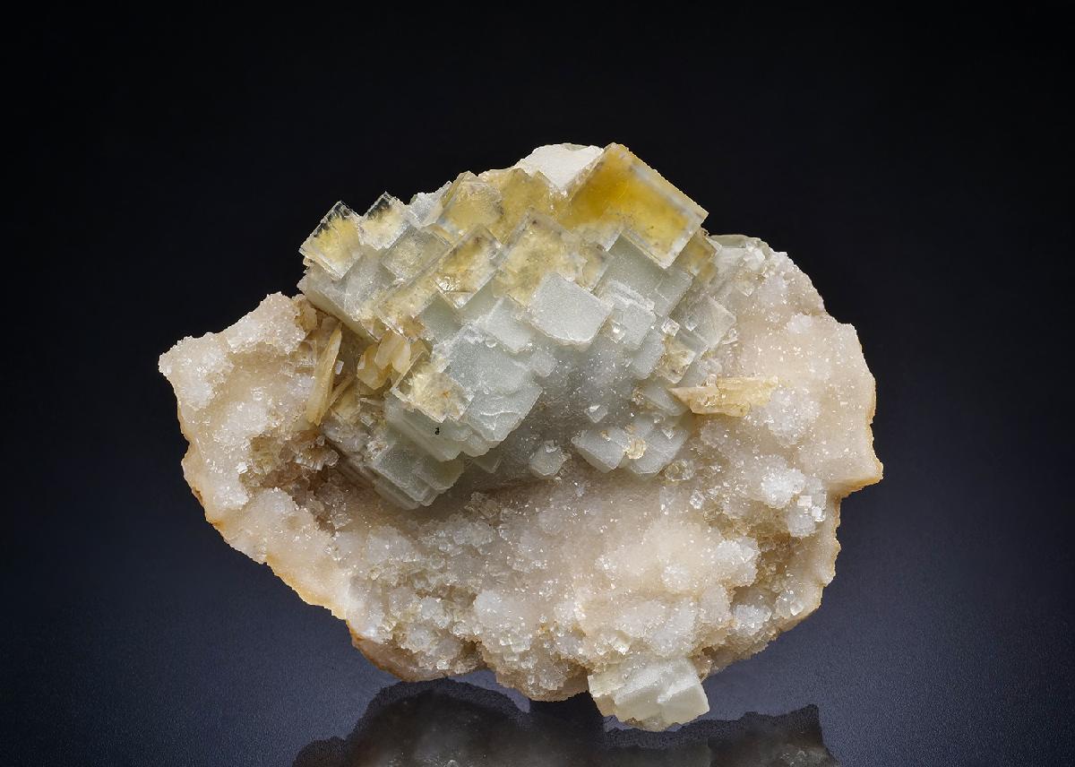 CC45148 specimen image