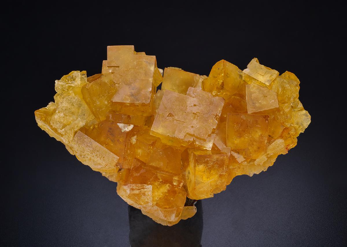 CC45152 specimen image