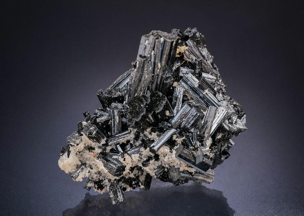 CC45154 specimen image