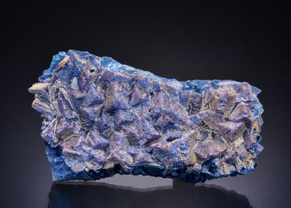 CC45172 specimen image