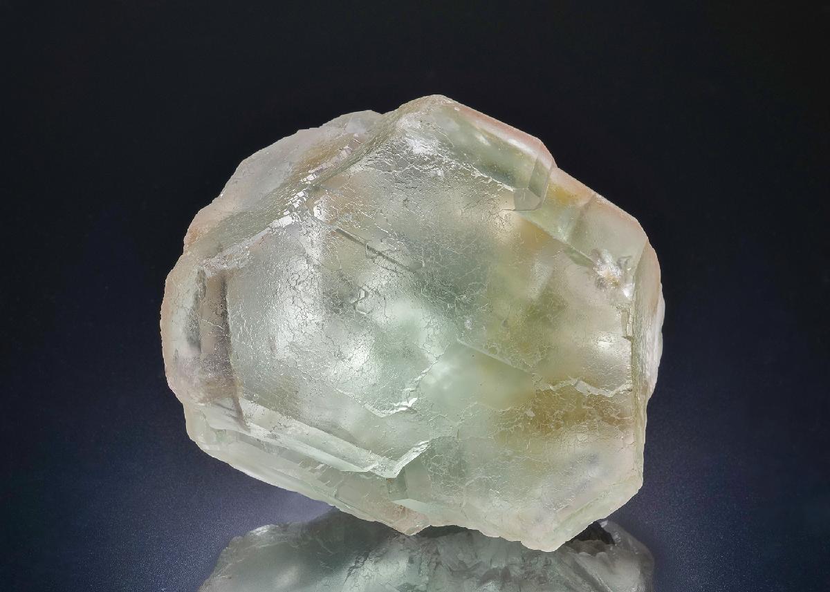 CC45182 specimen image